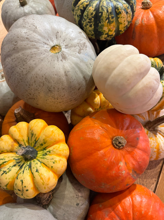 Pumpkin Painting 16th October 2026 🎃